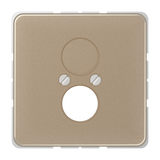 JUNG Zentralplatte LS 2f go/brz CD 562 GB Schraubbef