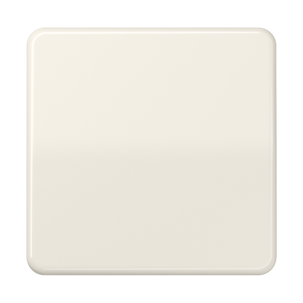 JUNG Wippe Schalter ws glz CD 590 BF
