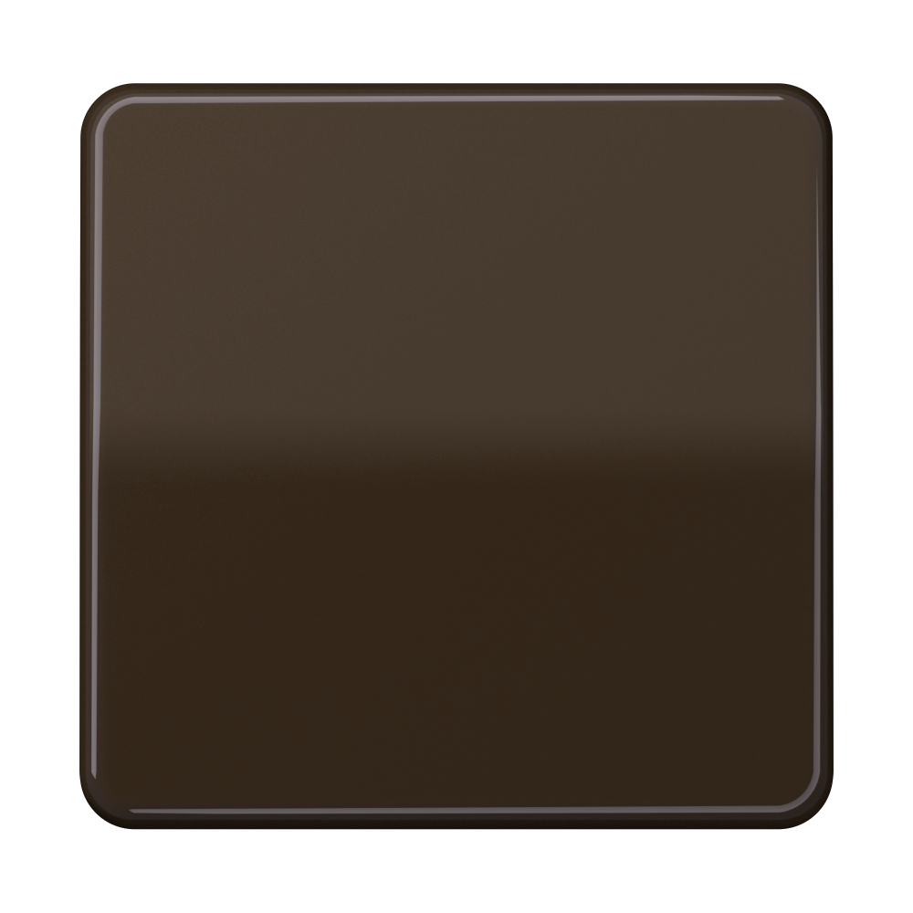 JUNG Wippe Schalter br glz CD 590 BF BR