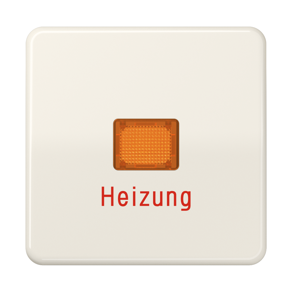 JUNG Kontrollwippe Schalter ws glz CD 590 BFH