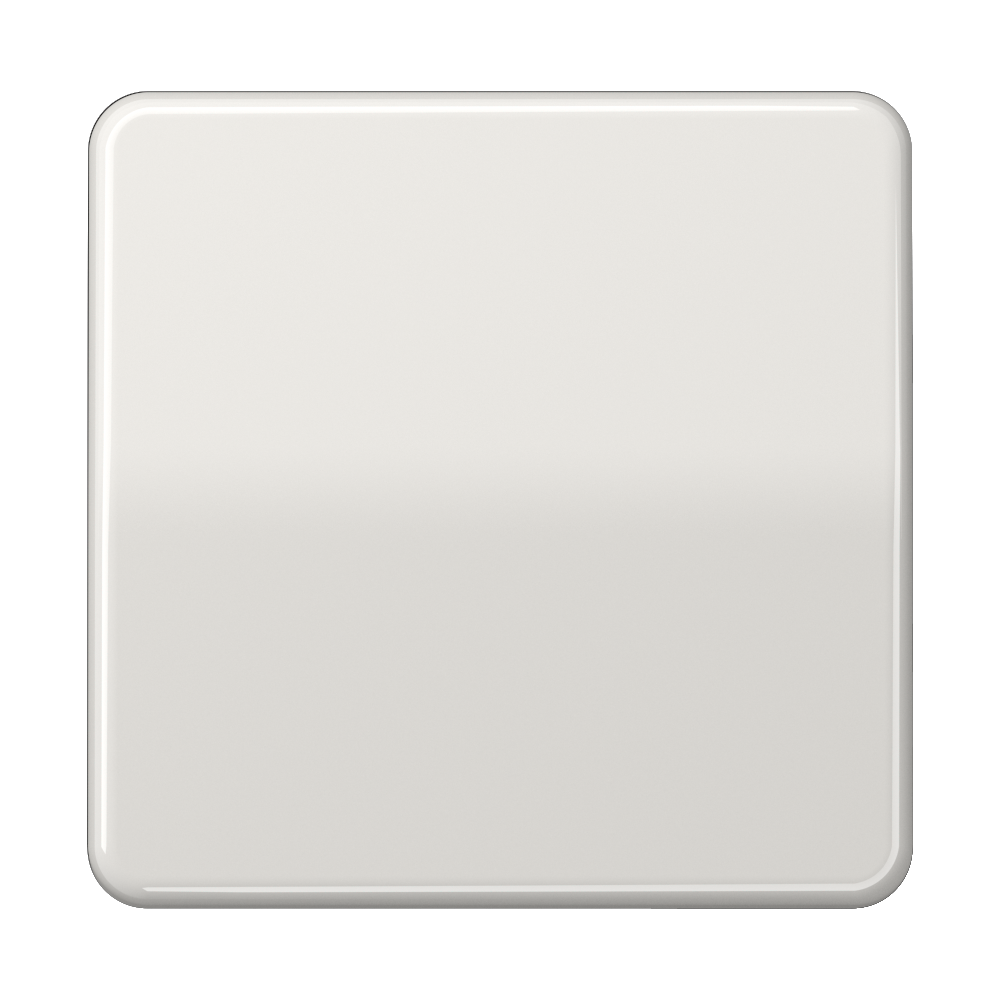 JUNG Wippe Schalter lgr glz CD 590 BF LG