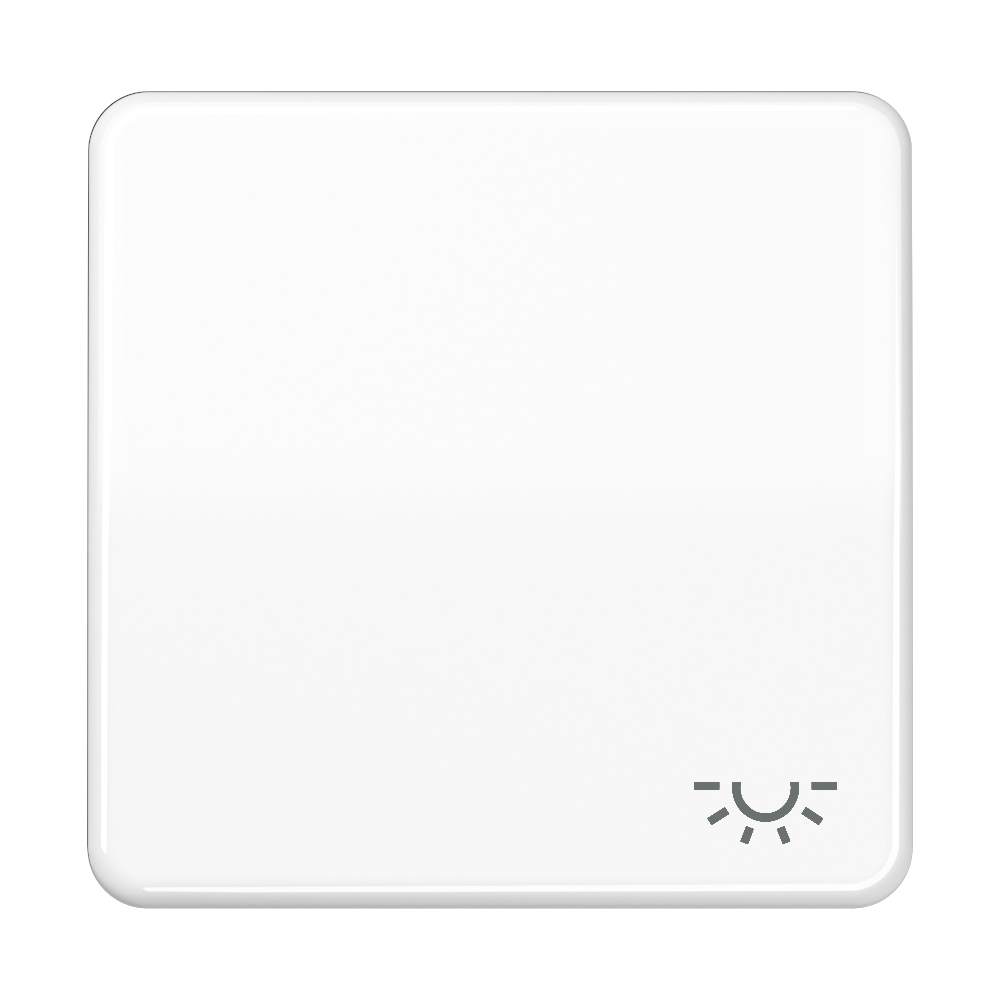 JUNG Wippe Schalter aws glz Licht CD 590 BFL WW