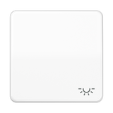 JUNG Wippe Schalter aws glz Licht CD 590 BFL WW