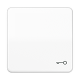 JUNG Wippe Schalter aws glz Schl/Tür CD 590 BFT WW