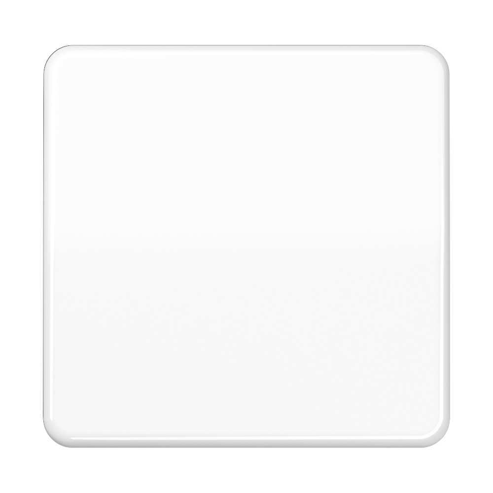 JUNG Wippe Schalter aws glz CD 590 BF WW