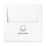JUNG Hotelcard Schalter aws glz CD 590 CARD WW