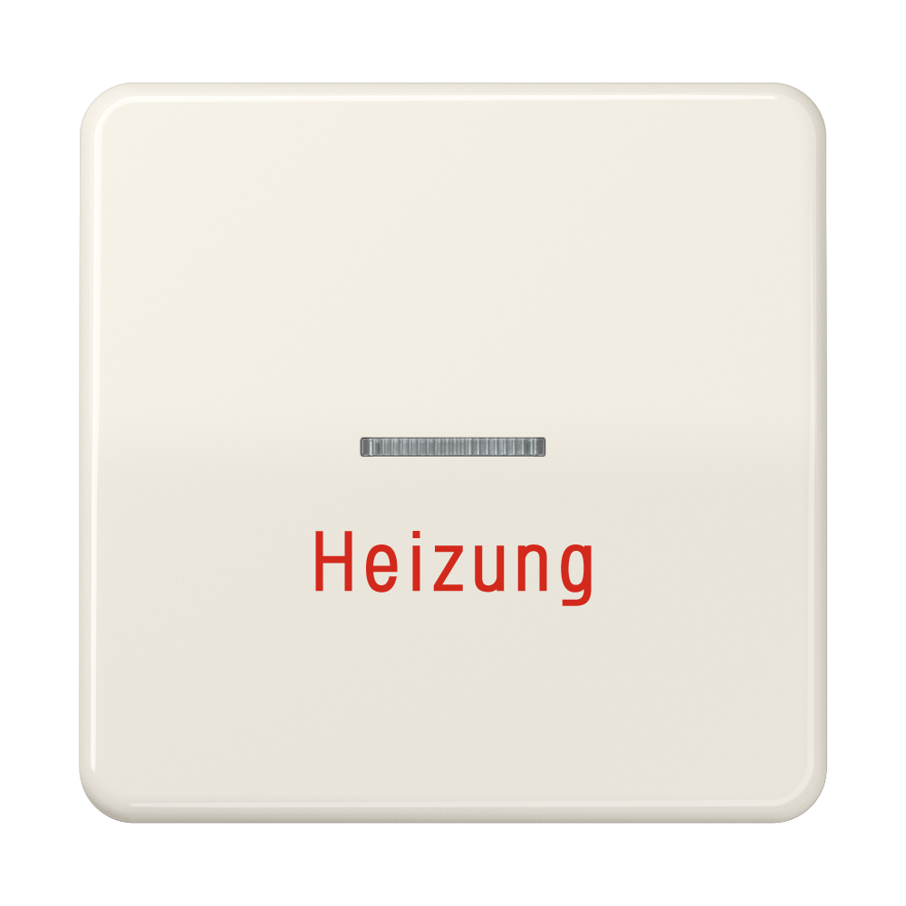 JUNG Kontrollwippe Schalter ws glz CD 590 H austb.Symb