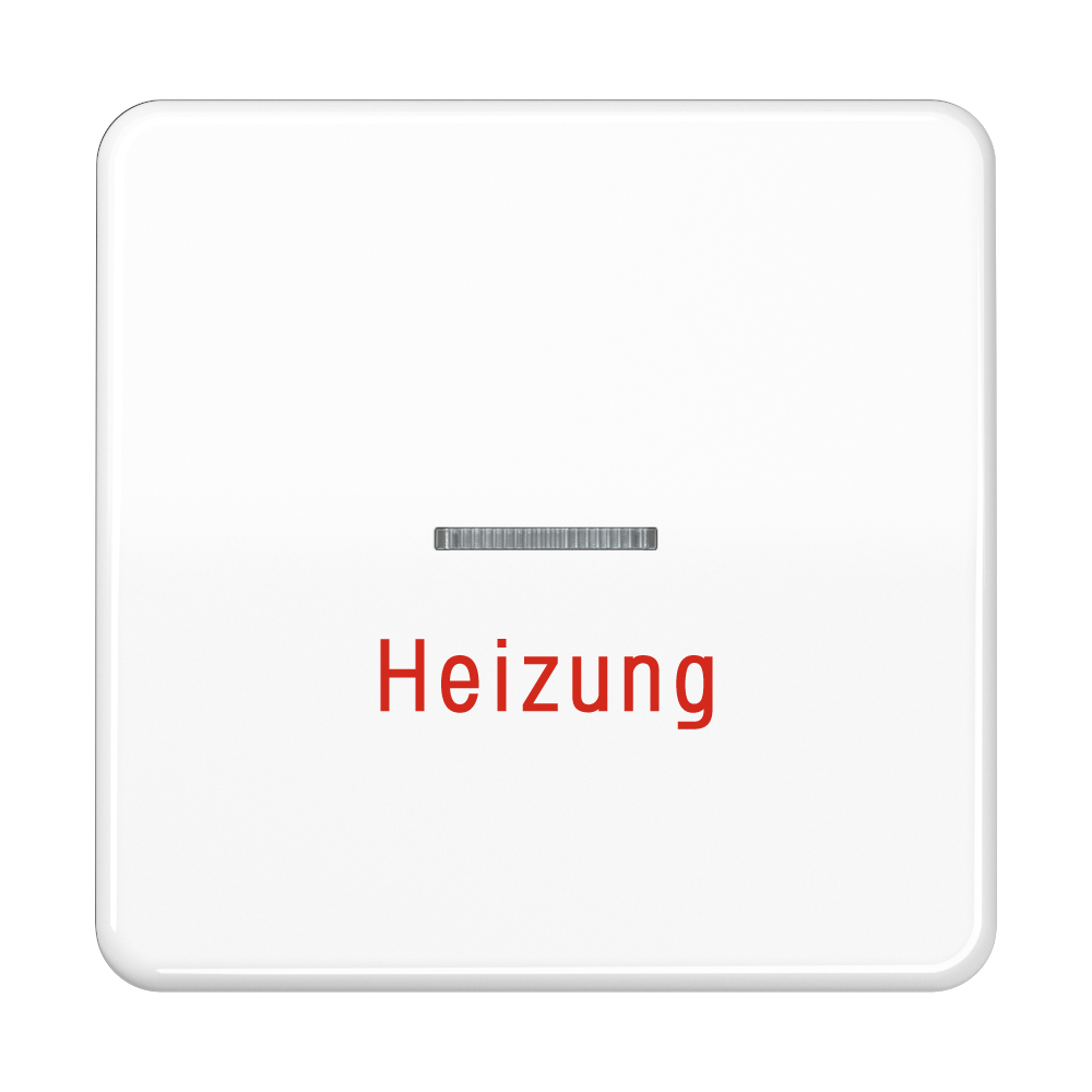 JUNG Kontrollwippe Schalter aws glz CD 590 H WW austb.Symb