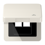 JUNG Vollplatte UAE/IAE 2f cws Klappd CD 590 KL LAN Schraubbef m.Aufdr