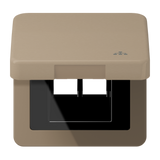 JUNG Vollplatte UAE/IAE 2f brz Klappd CD 590 KL LAN GB Schraubbef m.Aufdr