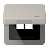 JUNG Vollplatte UAE/IAE 2f pt Schraubbef CD 590 KL LAN PT Klappd m.Aufdr