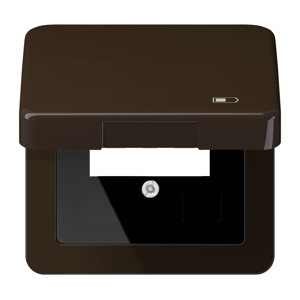 JUNG Klappdeckel br CD 590 KL USB BR