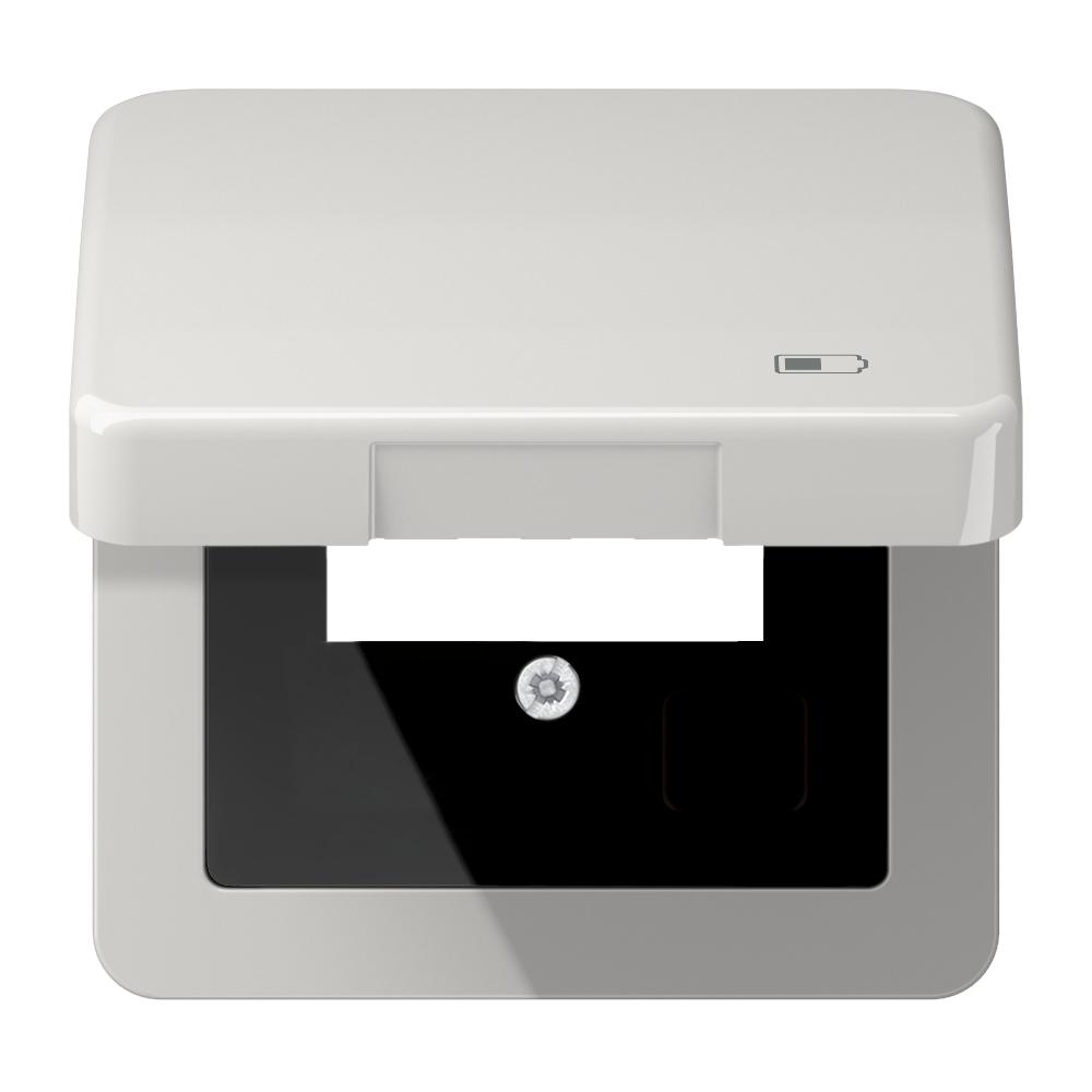 JUNG Klappdeckel lgr CD 590 KL USB LG