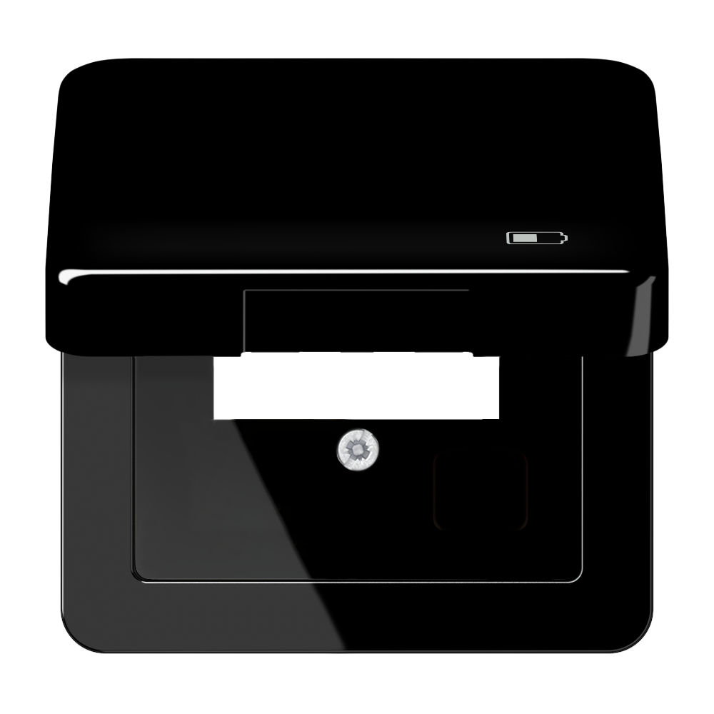 JUNG Klappdeckel sw CD 590 KL USB SW