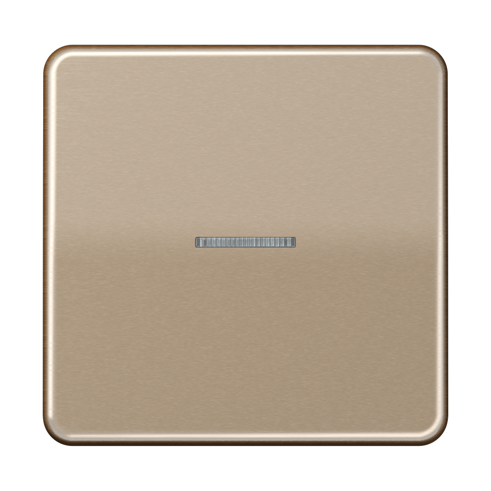 JUNG Kontrollwippe Schalter go/brz glz CD 590 KO5 GB