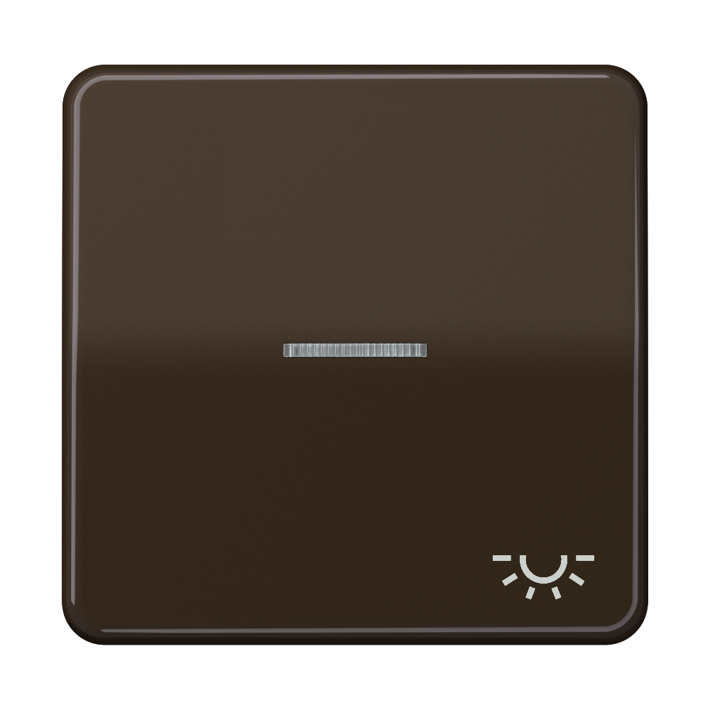 JUNG Kontrollwippe Schalter br glz CD 590 KO5L BR Licht