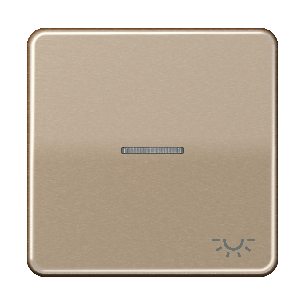 JUNG Kontrollwippe Schalter brz glz CD 590 KO5L GB Licht