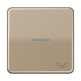 JUNG Kontrollwippe Schalter brz glz CD 590 KO5L GB Licht