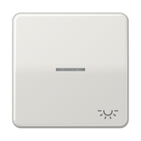 JUNG Kontrollwippe Schalter lgr glz CD 590 KO5L LG Licht