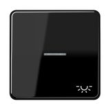 JUNG Kontrollwippe Schalter sw glz CD 590 KO5L SW Licht