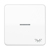 JUNG Kontrollwippe Schalter aws glz CD 590 KO5L WW Licht