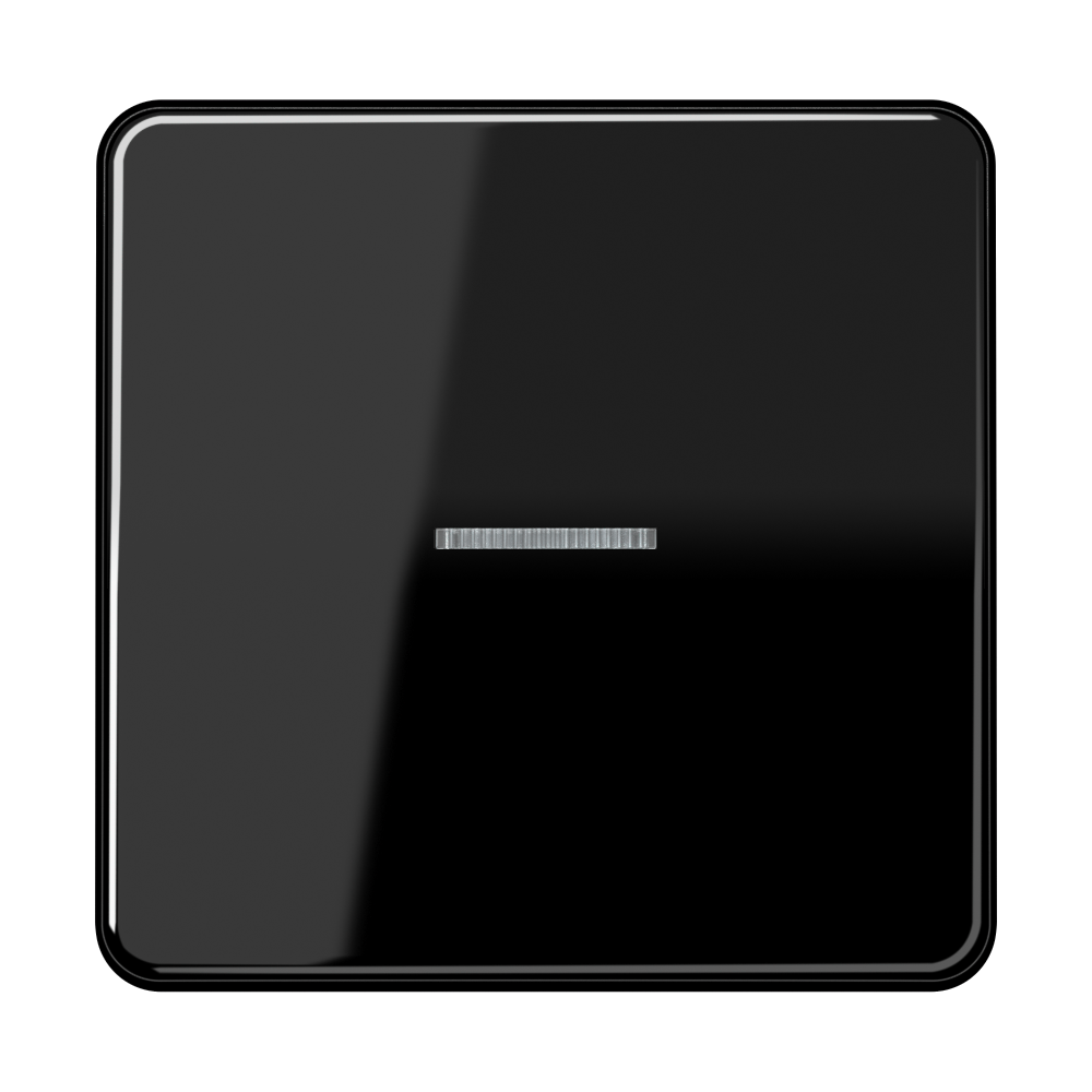 JUNG Kontrollwippe Schalter sw glz CD 590 KO5 SW