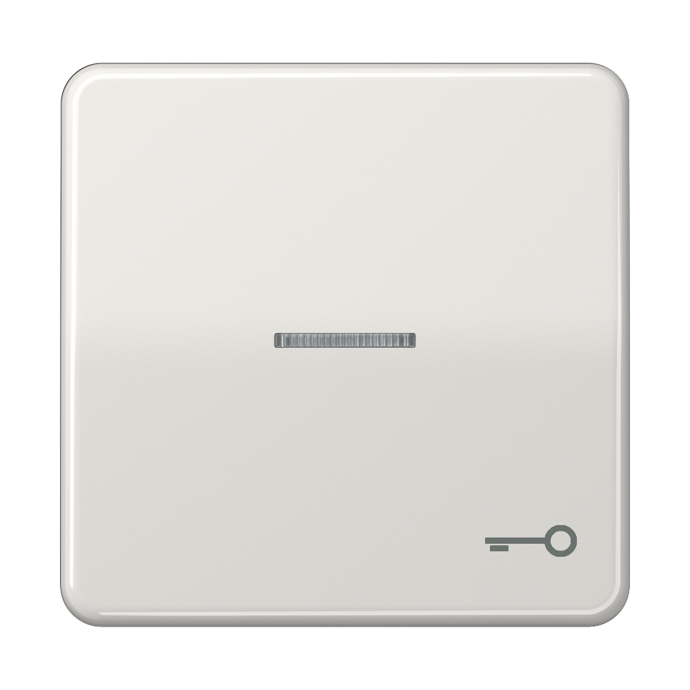 JUNG Kontrollwippe Schalter lgr glz CD 590 KO5T LG Schl/Tür