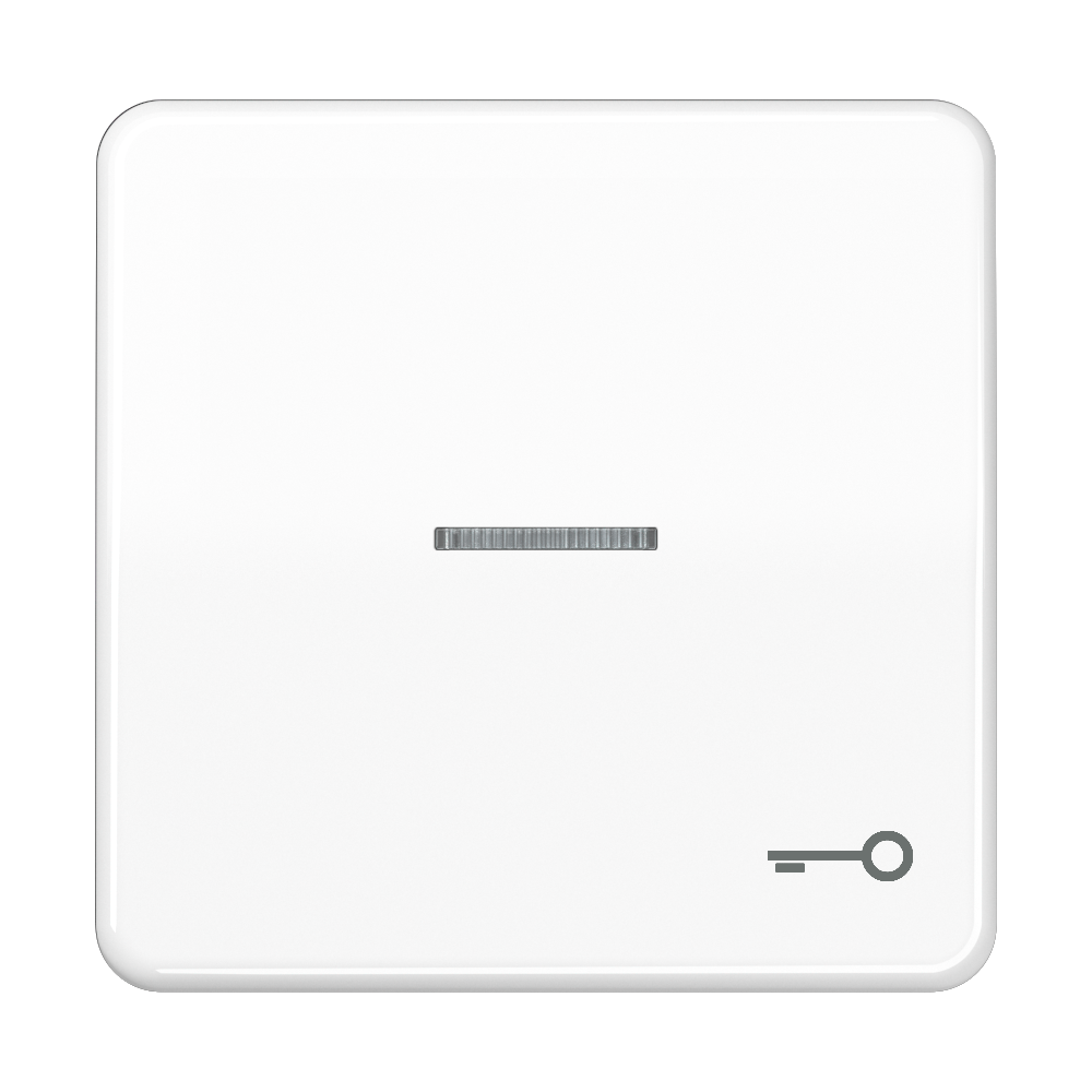 JUNG Kontrollwippe Schalter aws glz CD 590 KO5T WW Schl/Tür