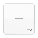JUNG Kontrollwippe Schalter aws glz CD 590 KO5T WW Schl/Tür