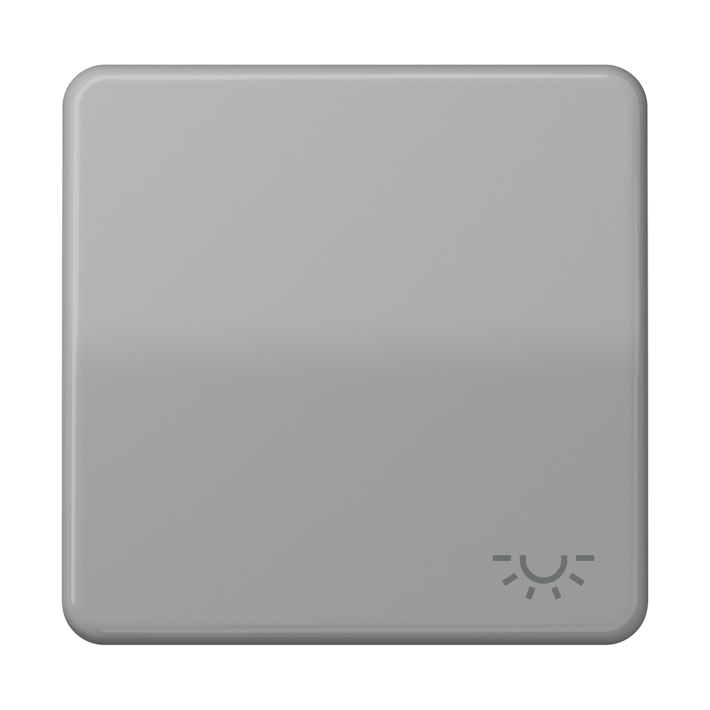 JUNG Wippe Schalter gr glz Licht CD 590 L GR