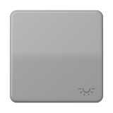 JUNG Wippe Schalter gr glz Licht CD 590 L GR