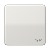 JUNG Wippe Schalter lgr glz Licht CD 590 L LG