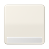 JUNG Wippe Schalter ws glz BSF CD 590 NA