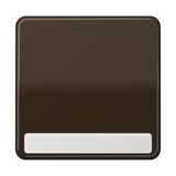 JUNG Wippe Schalter br glz BSF CD 590 NA BR