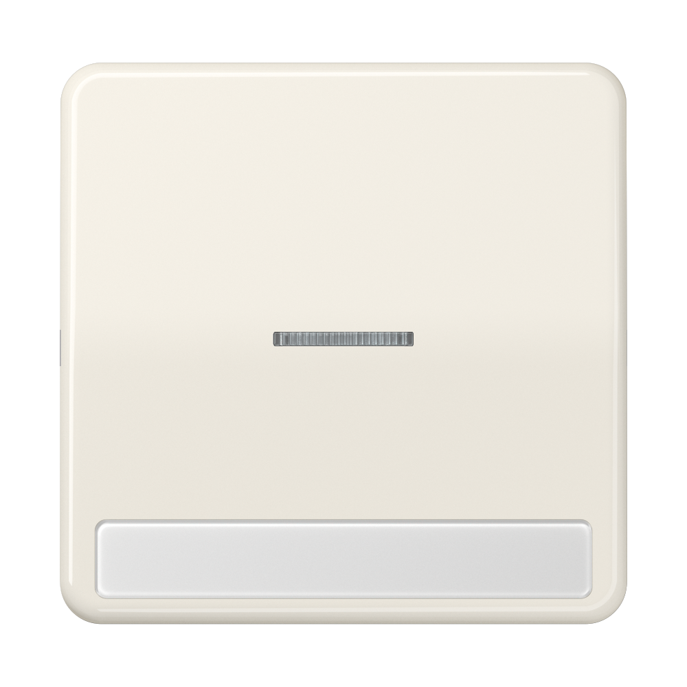 JUNG Kontrollwippe Schalter ws glz BSF CD 590 NAKO5