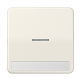 JUNG Kontrollwippe Schalter ws glz BSF CD 590 NAKO5