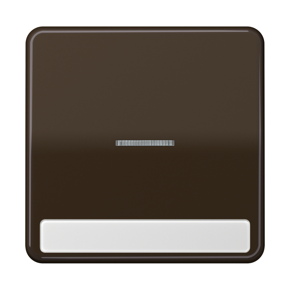 JUNG Kontrollwippe Schalter br glz BSF CD 590 NAKO5 BR