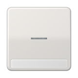 JUNG Kontrollwippe Schalter lgr glz BSF CD 590 NAKO5 LG