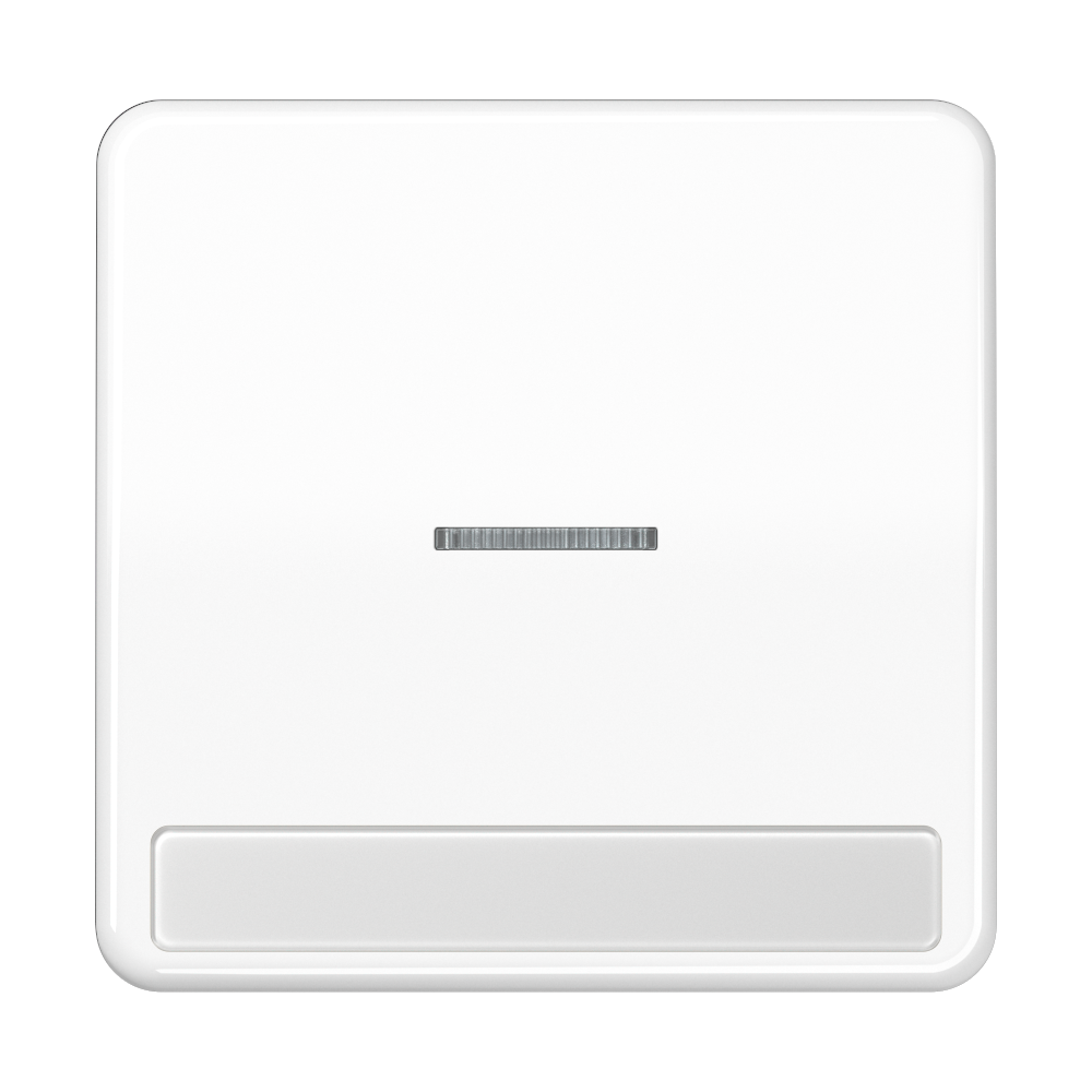 JUNG Kontrollwippe Schalter aws glz BSF CD 590 NAKO5 WW
