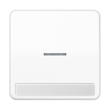 JUNG Kontrollwippe Schalter aws glz BSF CD 590 NAKO5 WW
