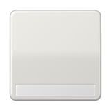 JUNG Wippe Schalter lgr glz BSF CD 590 NA LG