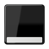 JUNG Wippe Schalter sw glz BSF CD 590 NA SW