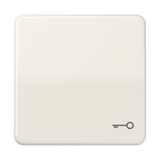 JUNG Wippe Schalter ws glz Schl/Tür CD 590 T