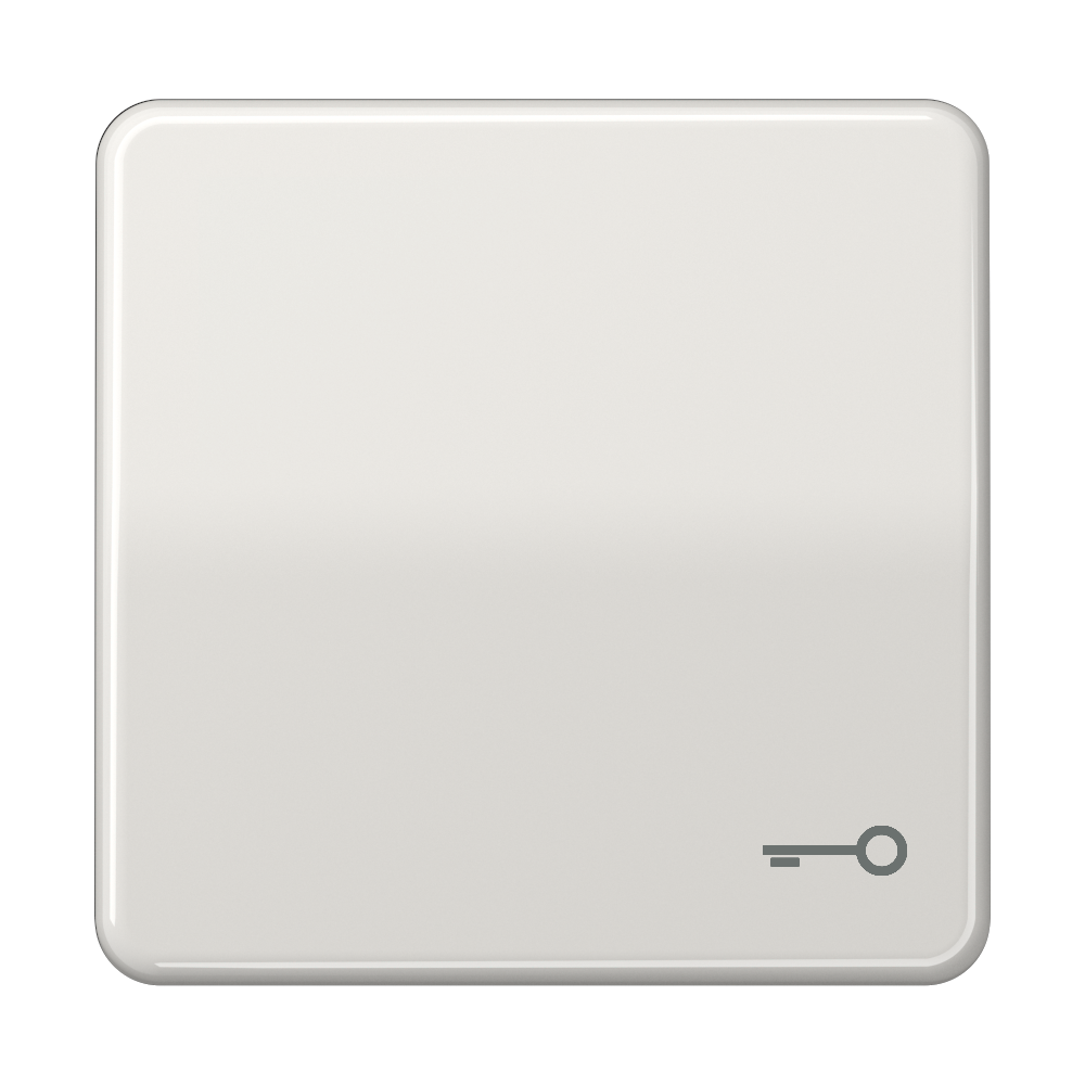 JUNG Wippe Schalter lgr glz Schl/Tür CD 590 T LG