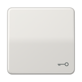 JUNG Wippe Schalter lgr glz Schl/Tür CD 590 T LG