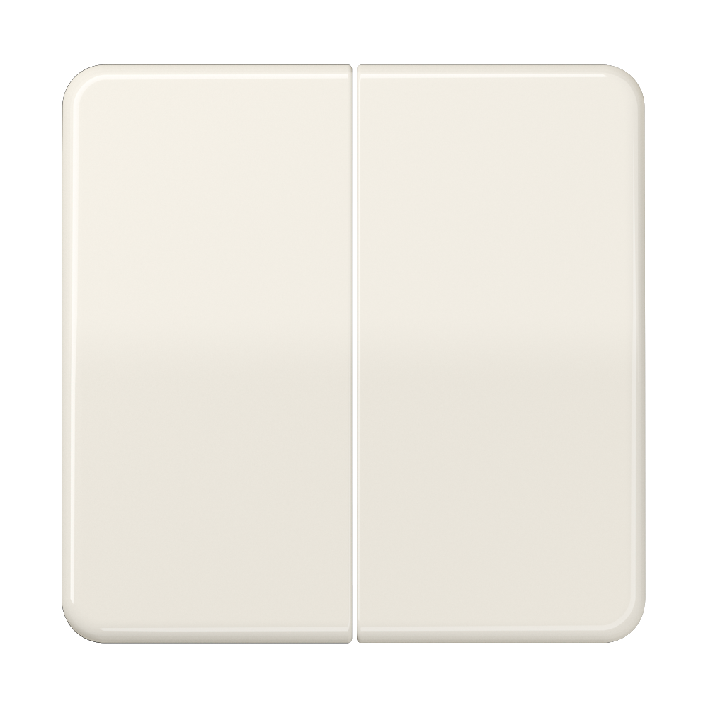 JUNG Wippe Serien Schalter ws glz CD 595