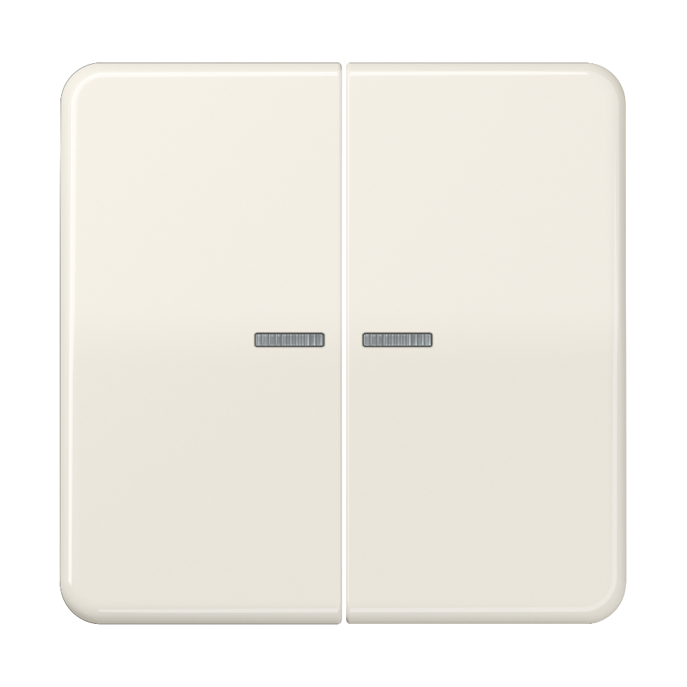 JUNG Wippe Serien Schalter ws glz CD 595 KO5BF