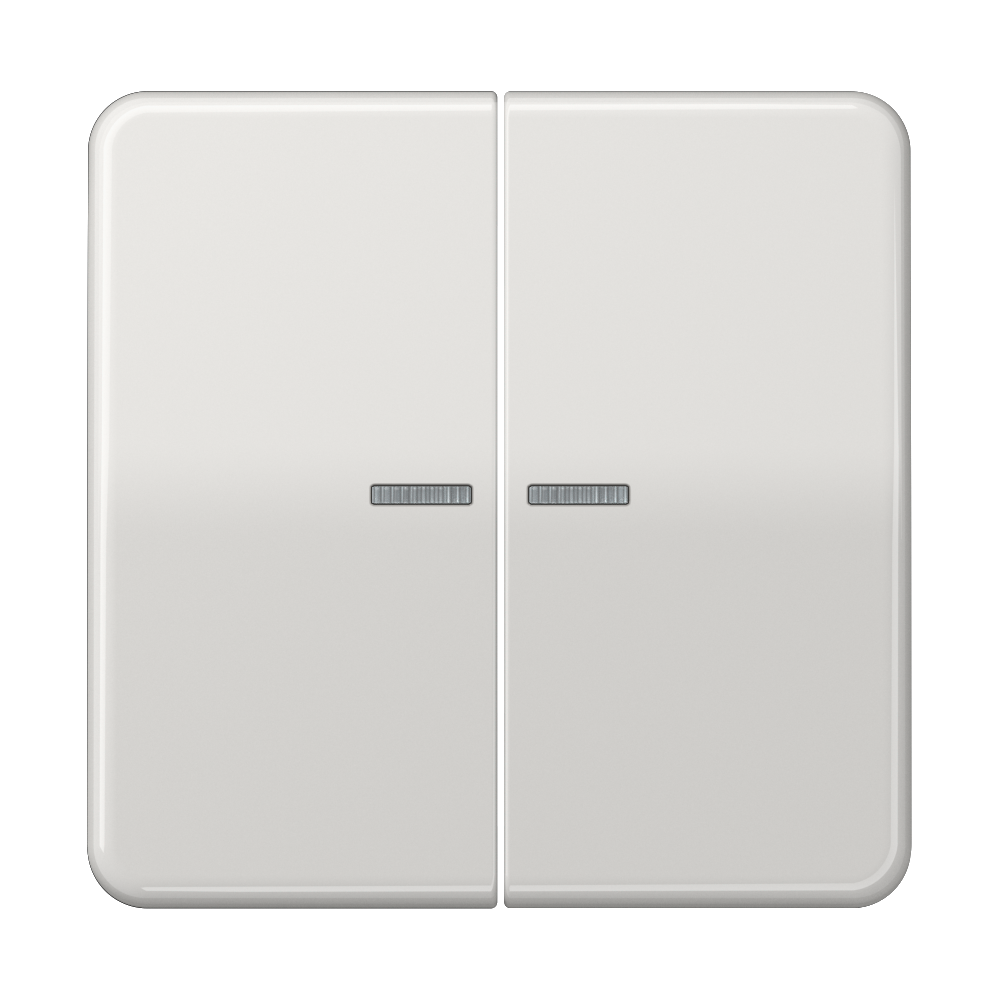 JUNG Wippe Serien Schalter lgr glz CD 595 KO5BF LG