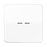 JUNG Wippe Serien Schalter aws glz CD 595 KO5BF WW