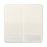 JUNG Wippe Serien Schalter ws glz BSF CD 595 NA
